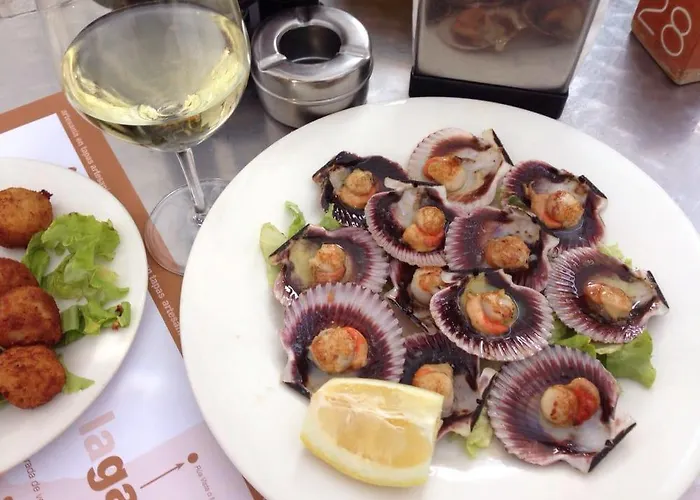 Piso Marques 바이오나